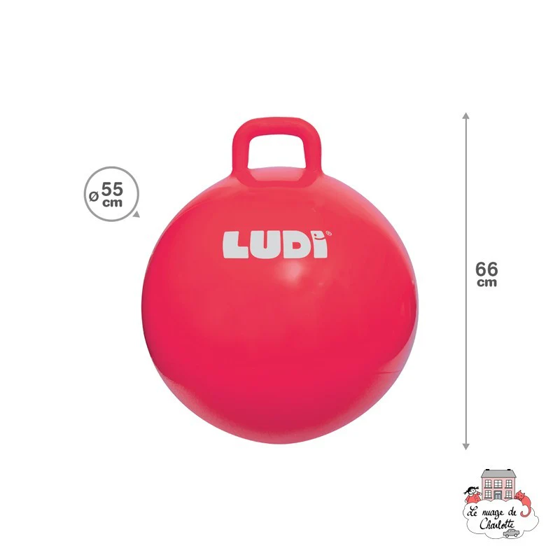 Imagem do produto 5