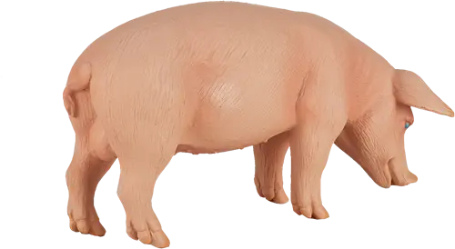 Imagem do produto 4